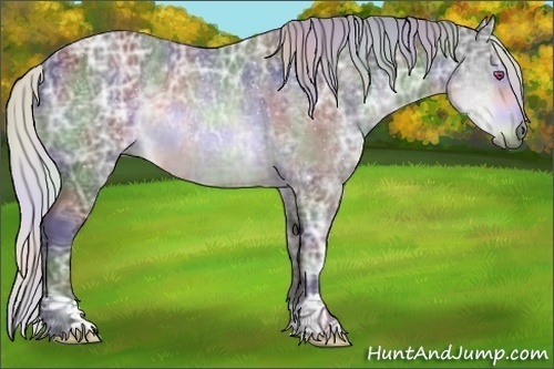 Horse Color:Nacre Silver Brown Chinchilla Ice 