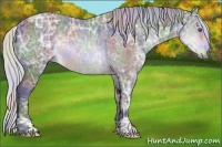 Horse Color:Nacre Silver Brown Chinchilla Ice