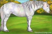 Horse Color:Nacre White Spotted Silver Blue Onyx Chinchilla Ice Sabino 