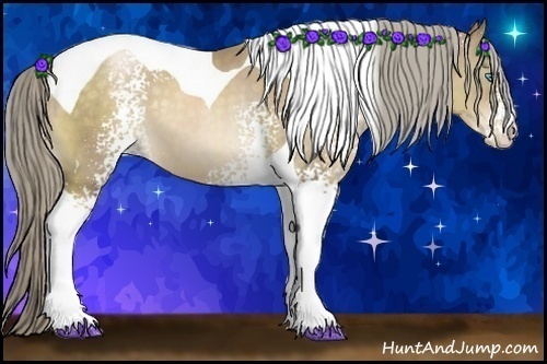 Horse Color:White Spotted Chocolate Palomino Pearl Tobiano