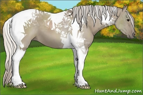 Horse Color:Silver Grullo Tobiano 