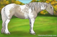 Horse Color:Silver Grullo Tobiano 