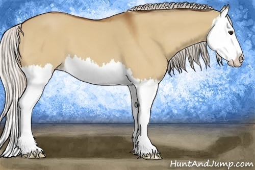 Horse Color:Silver Bay Dun Splash 