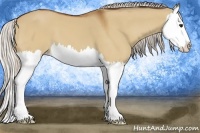Horse Color:Silver Bay Dun Splash 