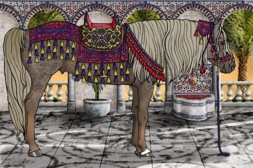 Horse Color:Liver Chestnut 