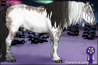 Horse Color:Gray Bay Ice Frame 