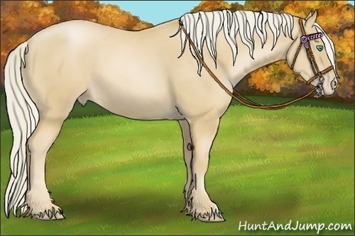 Horse Color:Palomino Pearl