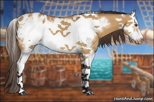 Horse Color:Bay Dun Splash Frame Appaloosa 
