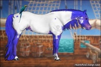 Horse Color:Watercolor Black Sabino Near Fewspot