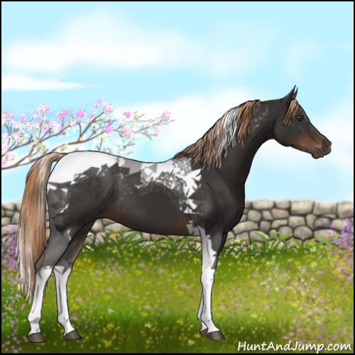 Horse Color:Liver Chestnut Tobiano 