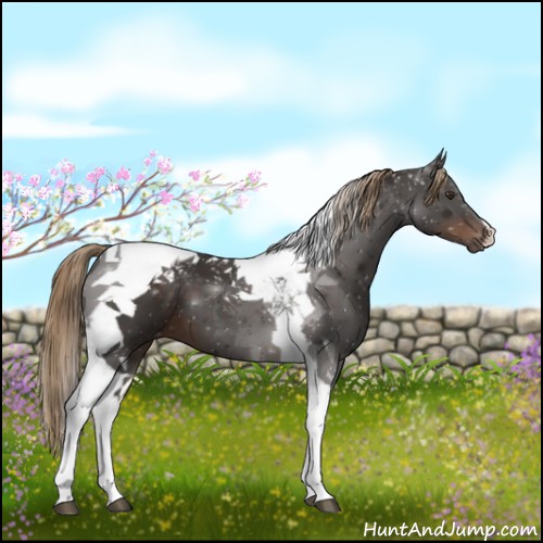 Horse Color:Liver Chestnut Tobiano 
