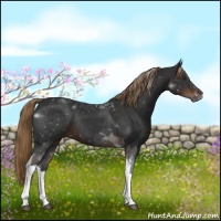 Horse Color:Liver Chestnut Tobiano Rabicano