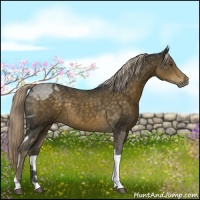Horse Color:Chocolate Palomino Tobiano Rabicano 