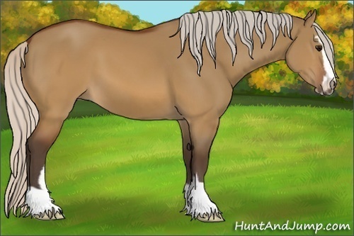Horse Color:Silver Brown Dun Sabino 