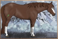Horse Color:White Spotted Liver Chestnut 