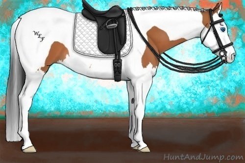 Horse Color:Bay Splash Tobiano 