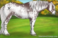 Horse Color:White Spotted Chocolate Silver Blue Onyx Chinchilla