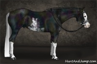 Horse Color:Midnight Black Sabino Splash