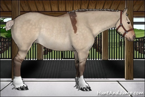 Horse Color:Silver Brown Dun Rabicano 
