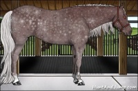 Horse Color:Chocolate Silver Black Chinchilla 