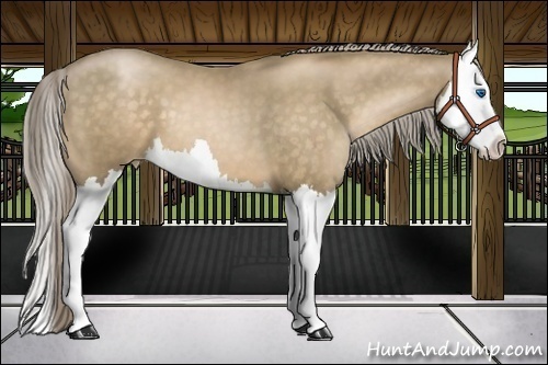Horse Color:Chocolate Palomino Pearl Splash 
