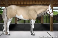 Horse Color:Chocolate Palomino Pearl Splash 