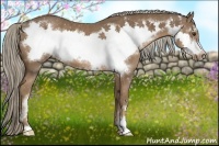 Horse Color:Chocolate Palomino Frame 