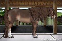 Horse Color:Liver Chestnut Sabino