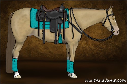 Horse Color:Classic Cream Champagne 