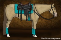 Horse Color:Classic Cream Champagne 