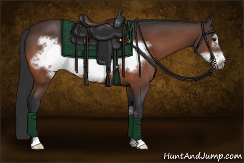 Horse Color:Bay Sabino Frame 