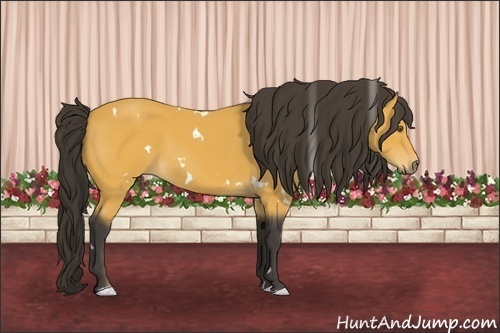 Horse Color:White Spotted Buckskin
