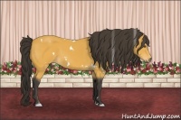 Horse Color:White Spotted Buckskin