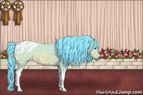 Horse Color:Gray Watercolor Bay Ice Appaloosa 