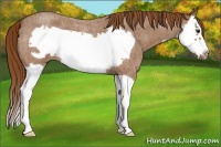Horse Color:Red Roan Splash Frame