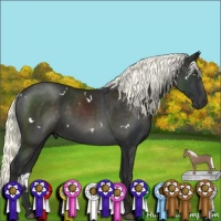 Horse Color:White Spotted Liver Chestnut Mushroom 