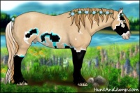 Horse Color:Gold Champagne Roan Splash Frame Rabicano 