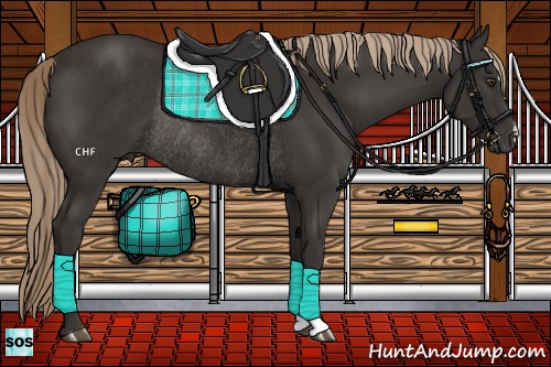 Horse Color:Liver Chestnut Rabicano 