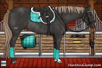 Horse Color:Liver Chestnut Rabicano