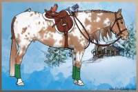 Horse Color:White Spotted Chestnut Appaloosa 