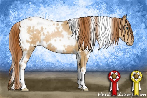 Horse Color:White Spotted Buckskin Pearl Varnish
