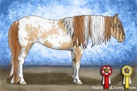 Horse Color:White Spotted Buckskin Pearl Varnish
