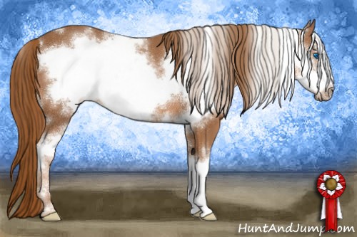 Horse Color:White Spotted Chestnut Frame