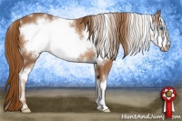 Horse Color:White Spotted Chestnut Frame 