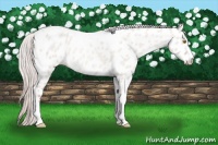 Horse Color:Silver Classic Champagne Roan Dun Splash Tobiano Frame Appaloosa Rabicano