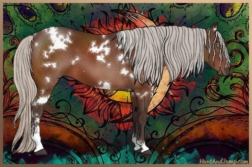 Horse Color:White Spotted Silver Bay Sabino 