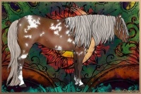 Horse Color:White Spotted Silver Bay Sabino