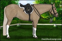 Horse Color:Silver Grullo 