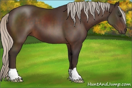 Horse Color:Silver Brown 