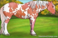 Horse Color:Watercolor White Spotted Silver Brown 
